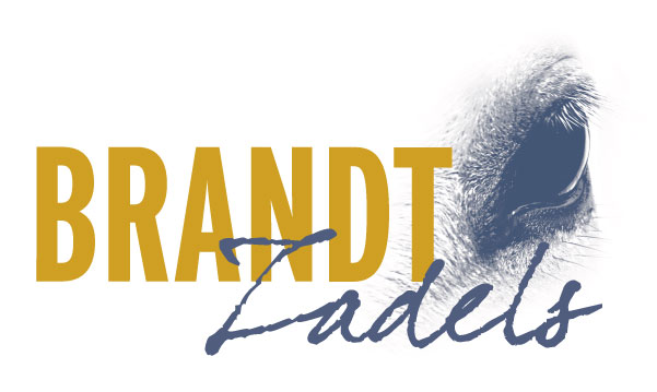 logo-Brandt-Zadels